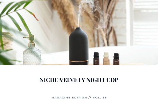 niche velvety night edp